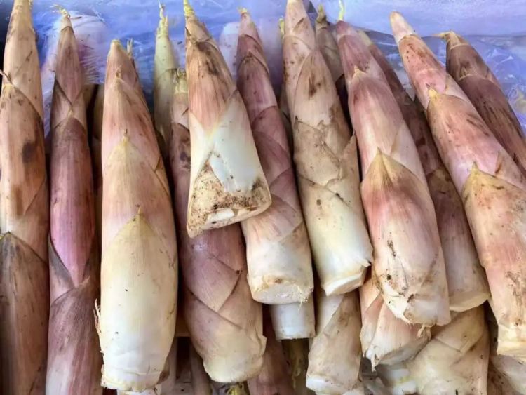 价格直降，又鲜又嫩！杭州人爱吃的下饭菜，可以出手了