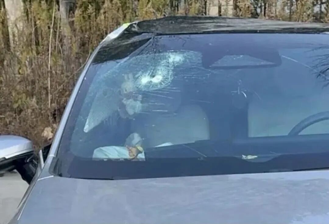 交警提醒：很多人中招，赶快自查清理