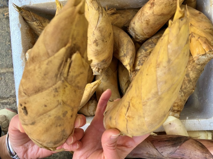 价格直降，又鲜又嫩！杭州人爱吃的下饭菜，可以出手了