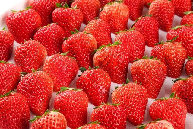 黑草莓火了！到底有什么不一样？