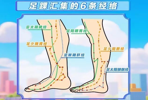 足踝是人体“第二心脏”!疼痛肿胀,或是“求救信号” 足踝是人体“第二心脏”!疼痛肿胀,或是“求救信号”