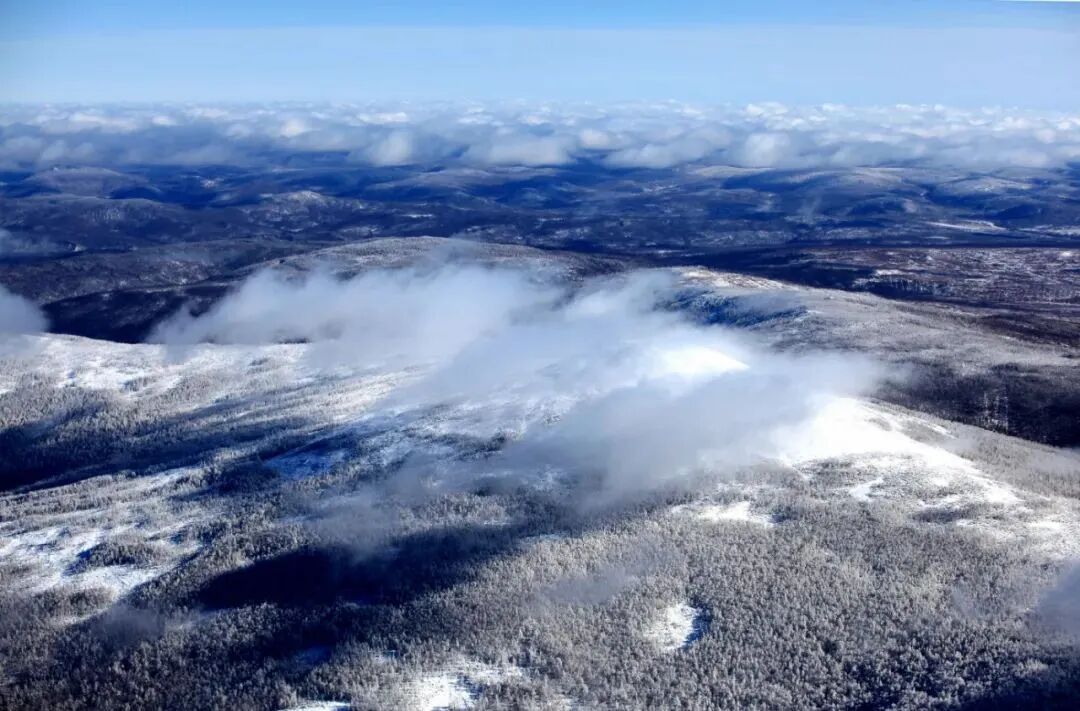 武汉首次开通，几乎被抢光了！很多人还没反应过来