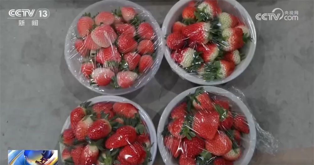 县域市场水果“焕新”、传统菜市活力升级 从“菜篮子”“果盘子”透视消费潜力 县域市场水果“焕新”、传统菜市活力升级 从“菜篮子”“果盘子”透视消费潜力