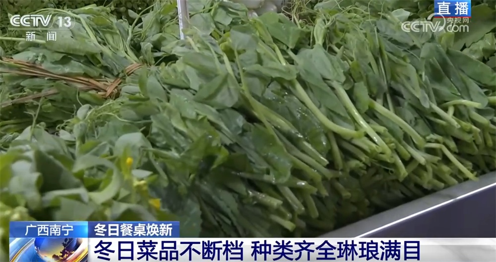 县域市场水果“焕新”、传统菜市活力升级 从“菜篮子”“果盘子”透视消费潜力 县域市场水果“焕新”、传统菜市活力升级 从“菜篮子”“果盘子”透视消费潜力