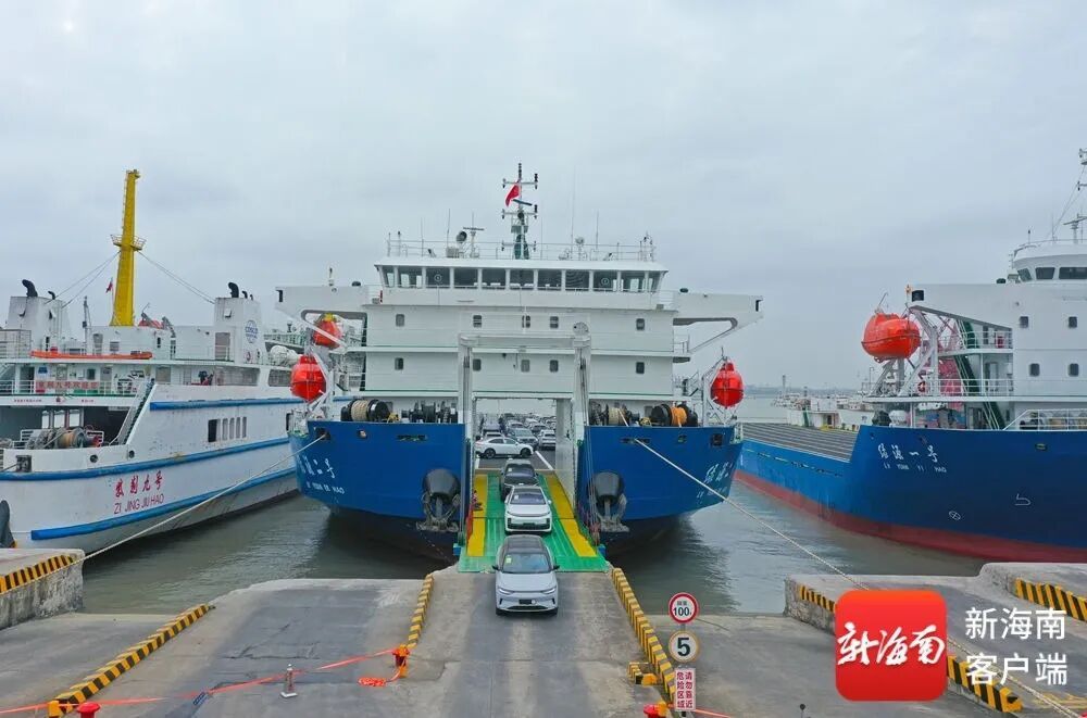 @新能源车主，春运期间过海指南来了！请查收→