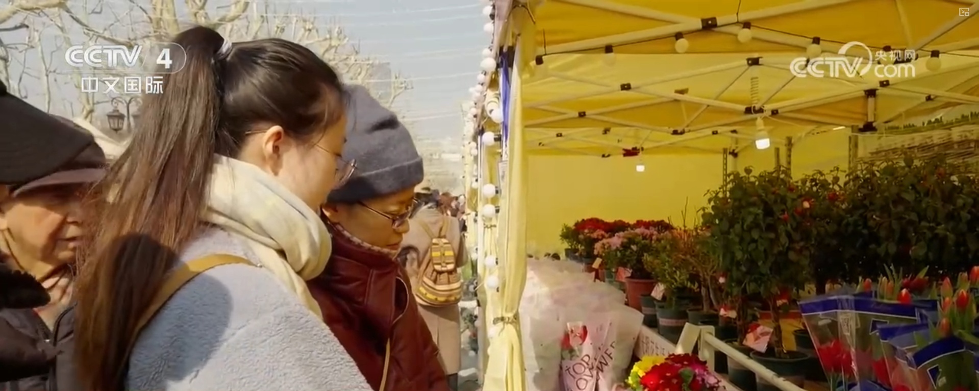 “铁路+”“古镇+”各地文旅新场景新业态“多点开花”引爆消费热情 “铁路+”“古镇+”各地文旅新场景新业态“多点开花”引爆消费热情