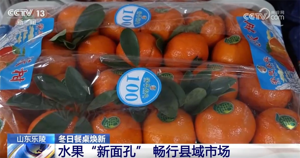 县域市场水果“焕新”、传统菜市活力升级 从“菜篮子”“果盘子”透视消费潜力 县域市场水果“焕新”、传统菜市活力升级 从“菜篮子”“果盘子”透视消费潜力