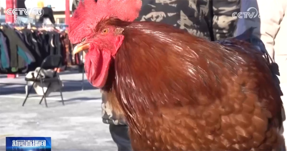 年货大集打造“农文旅融合”亮丽名片 烟火气中“线上+线下”齐享消费盛宴