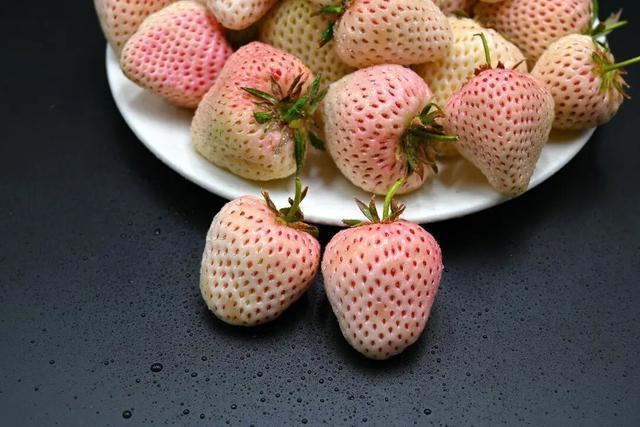 黑草莓火了！到底有什么不一样？