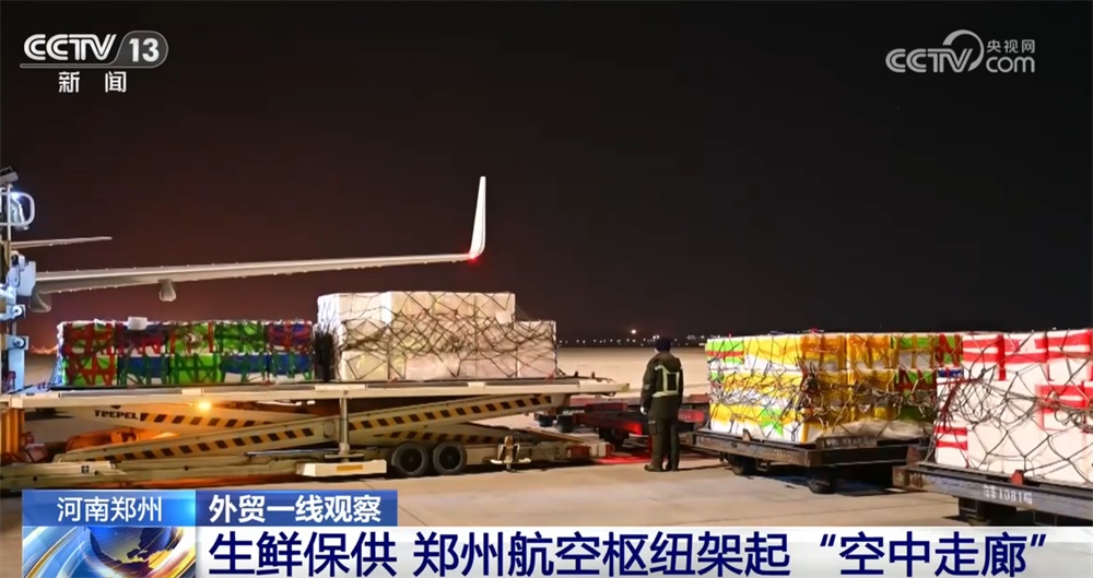 外贸一线观察｜依托多式联运织密物流网 郑州推动“内陆节点”跃升为开放前沿