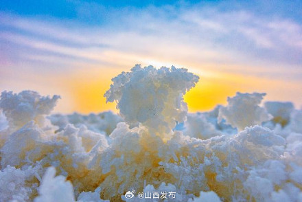 冬日限定 盐湖“硝花”绽放