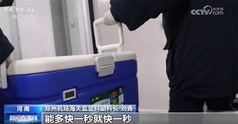 外贸一线观察｜依托多式联运织密物流网 郑州推动“内陆节点”跃升为开放前沿