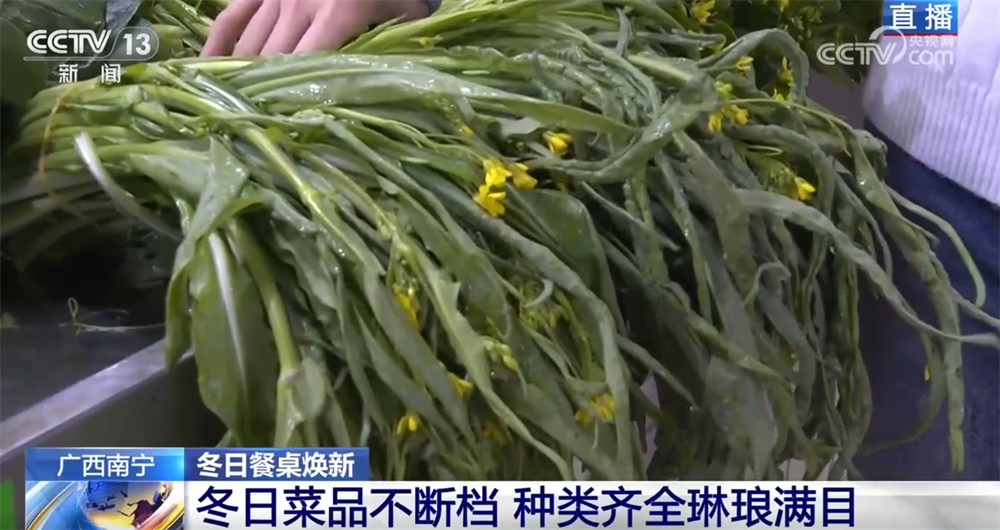 县域市场水果“焕新”、传统菜市活力升级 从“菜篮子”“果盘子”透视消费潜力 县域市场水果“焕新”、传统菜市活力升级 从“菜篮子”“果盘子”透视消费潜力