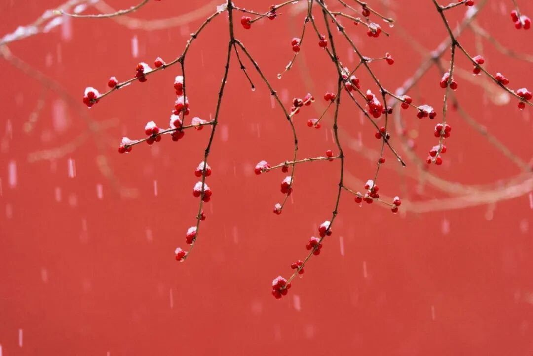 北京今天的雪呢？在路上了，不过有变化——