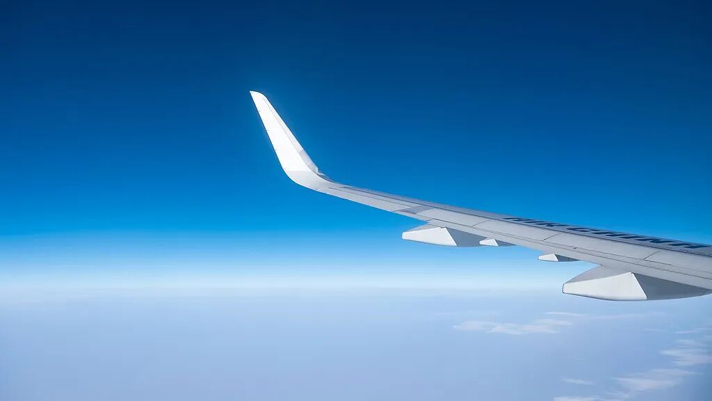 多人违反“限高令”乘机被拘留，他们是怎么买到机票的？