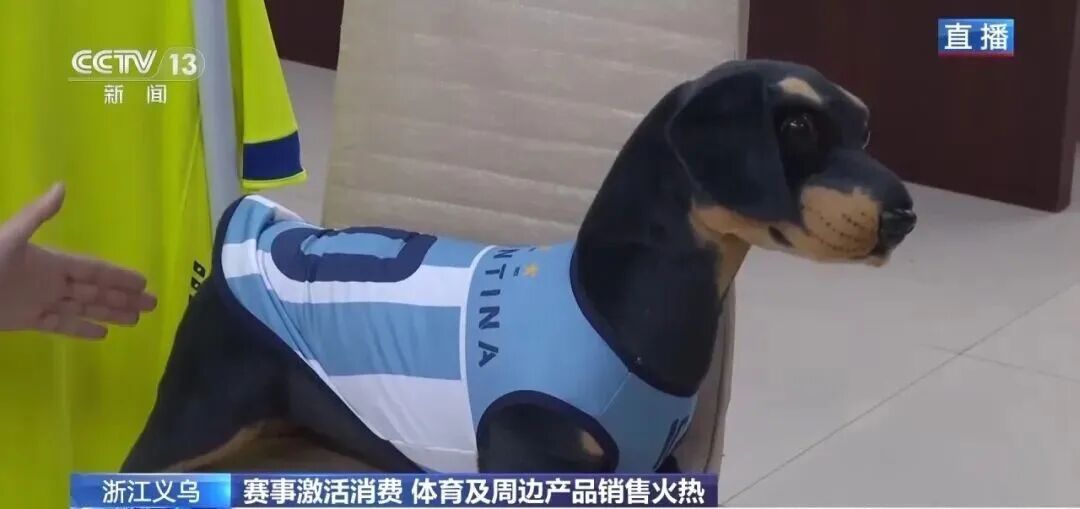 世界杯东风，义乌又爆单了！