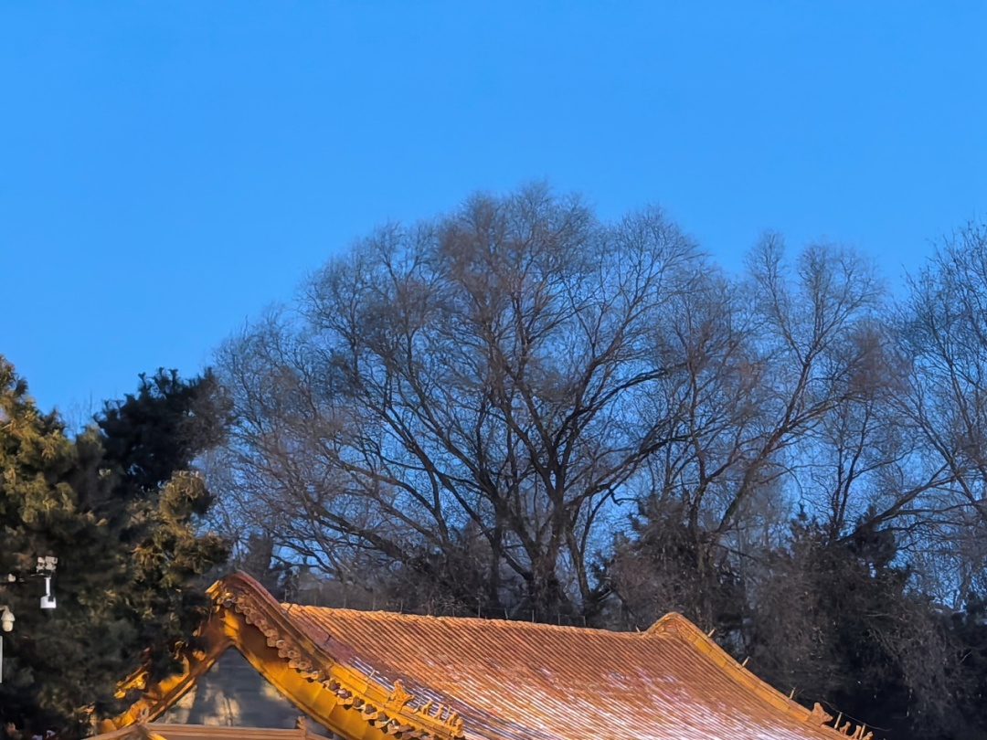 明天“五九”，辽宁会开始变暖吗？下周的天气是……