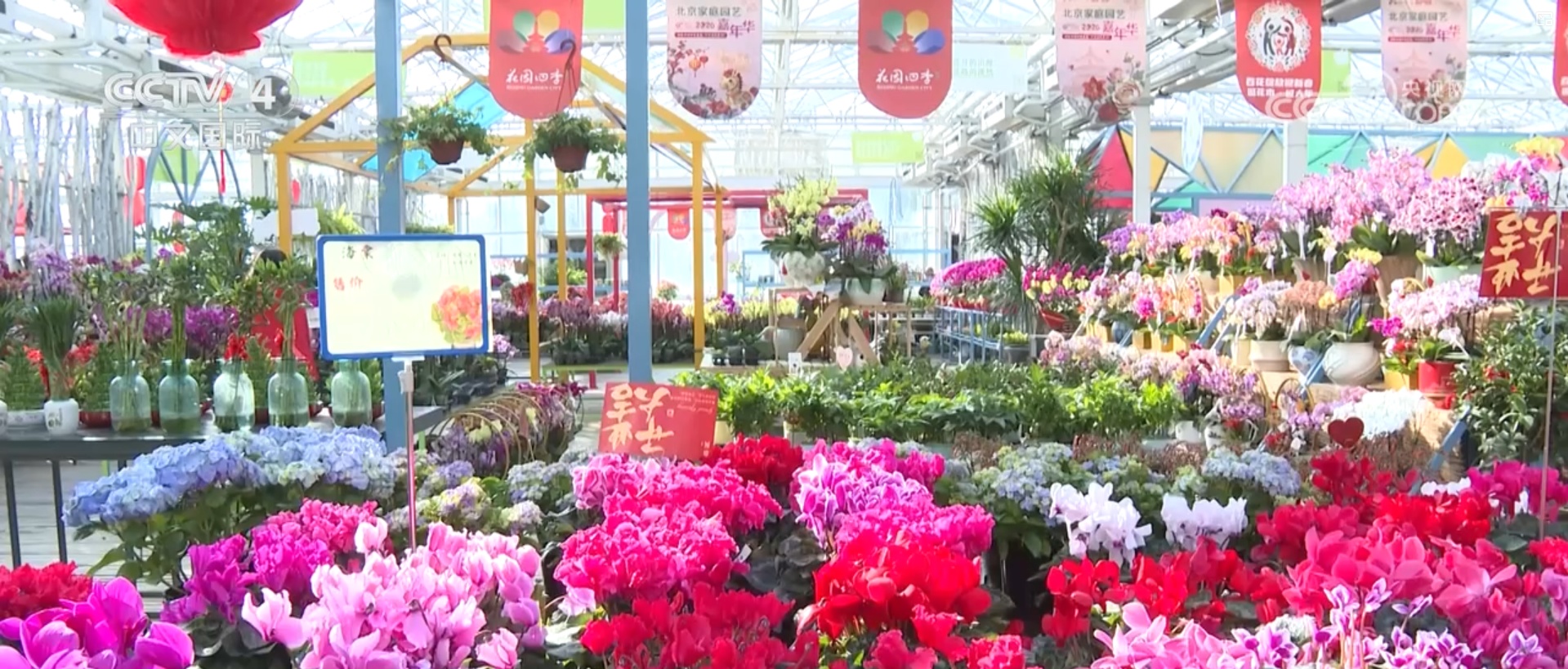 “铁路+”“古镇+”各地文旅新场景新业态“多点开花”引爆消费热情 “铁路+”“古镇+”各地文旅新场景新业态“多点开花”引爆消费热情