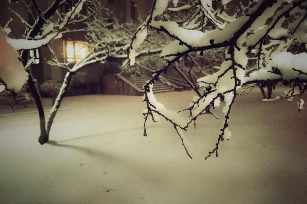 明天“五九”，辽宁会开始变暖吗？下周的天气是……