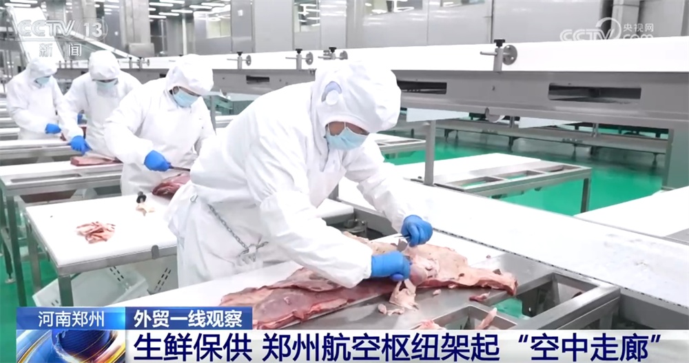 外贸一线观察｜依托多式联运织密物流网 郑州推动“内陆节点”跃升为开放前沿