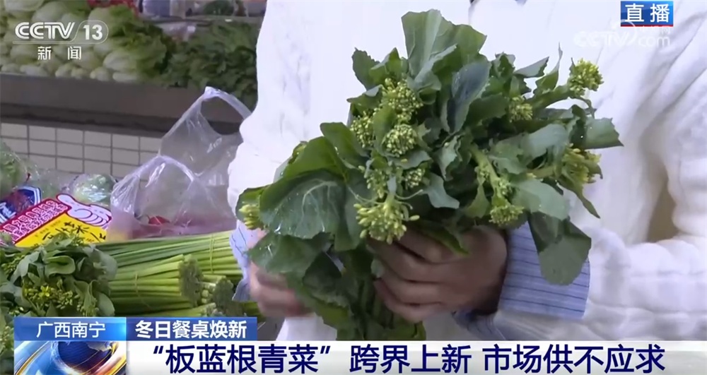 县域市场水果“焕新”、传统菜市活力升级 从“菜篮子”“果盘子”透视消费潜力 县域市场水果“焕新”、传统菜市活力升级 从“菜篮子”“果盘子”透视消费潜力