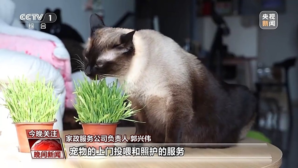 销量翻倍、订单排满 节前消费市场活力十足 销量翻倍、订单排满 节前消费市场活力十足