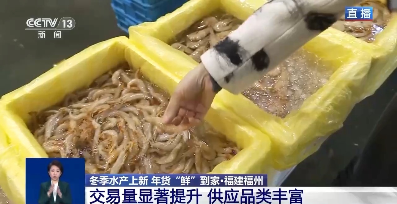 应季水产品大量上市 你家餐桌上的海鲜可能来自这里 应季水产品大量上市 你家餐桌上的海鲜可能来自这里