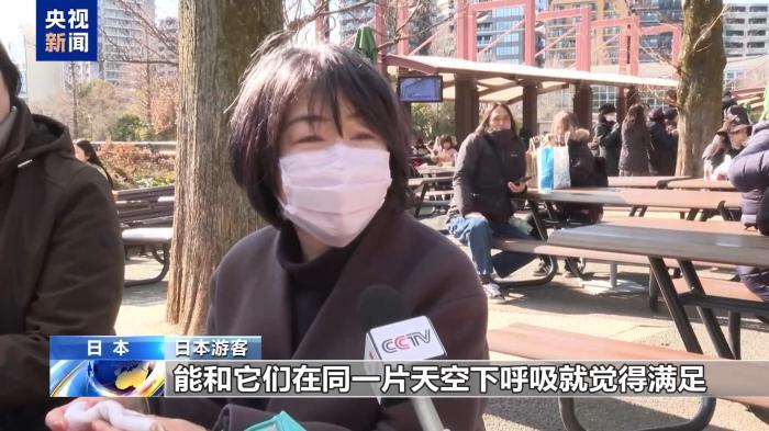 大熊猫“晓晓”和“蕾蕾”即将回国 日本民众依依惜别