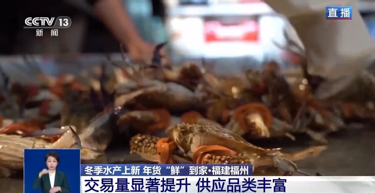 应季水产品大量上市 你家餐桌上的海鲜可能来自这里 应季水产品大量上市 你家餐桌上的海鲜可能来自这里