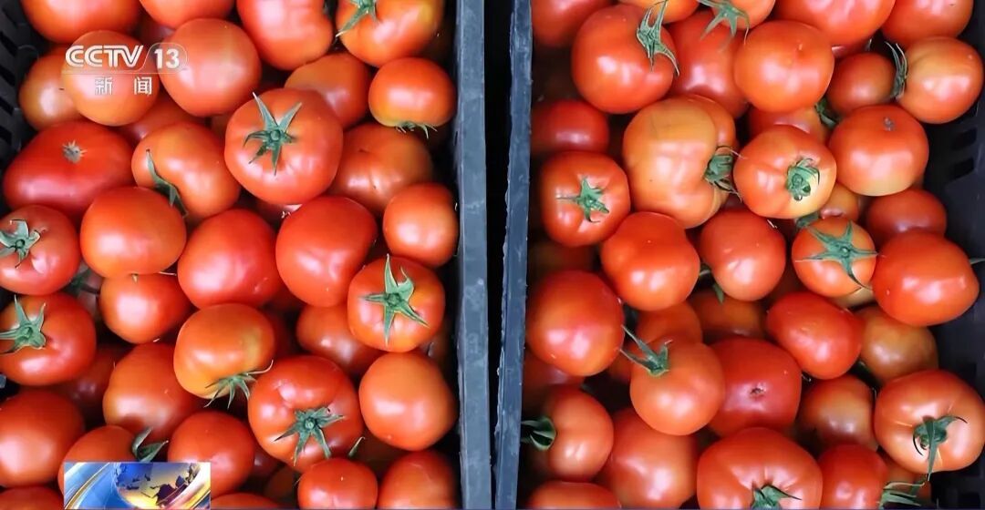 税务局上门突检，负责人竟抱起笔记本电脑夺门而逃