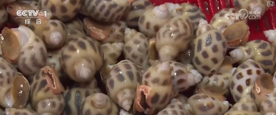 水果“新面孔”畅行县域市场 冬日餐桌焕新传统菜市场活力升级