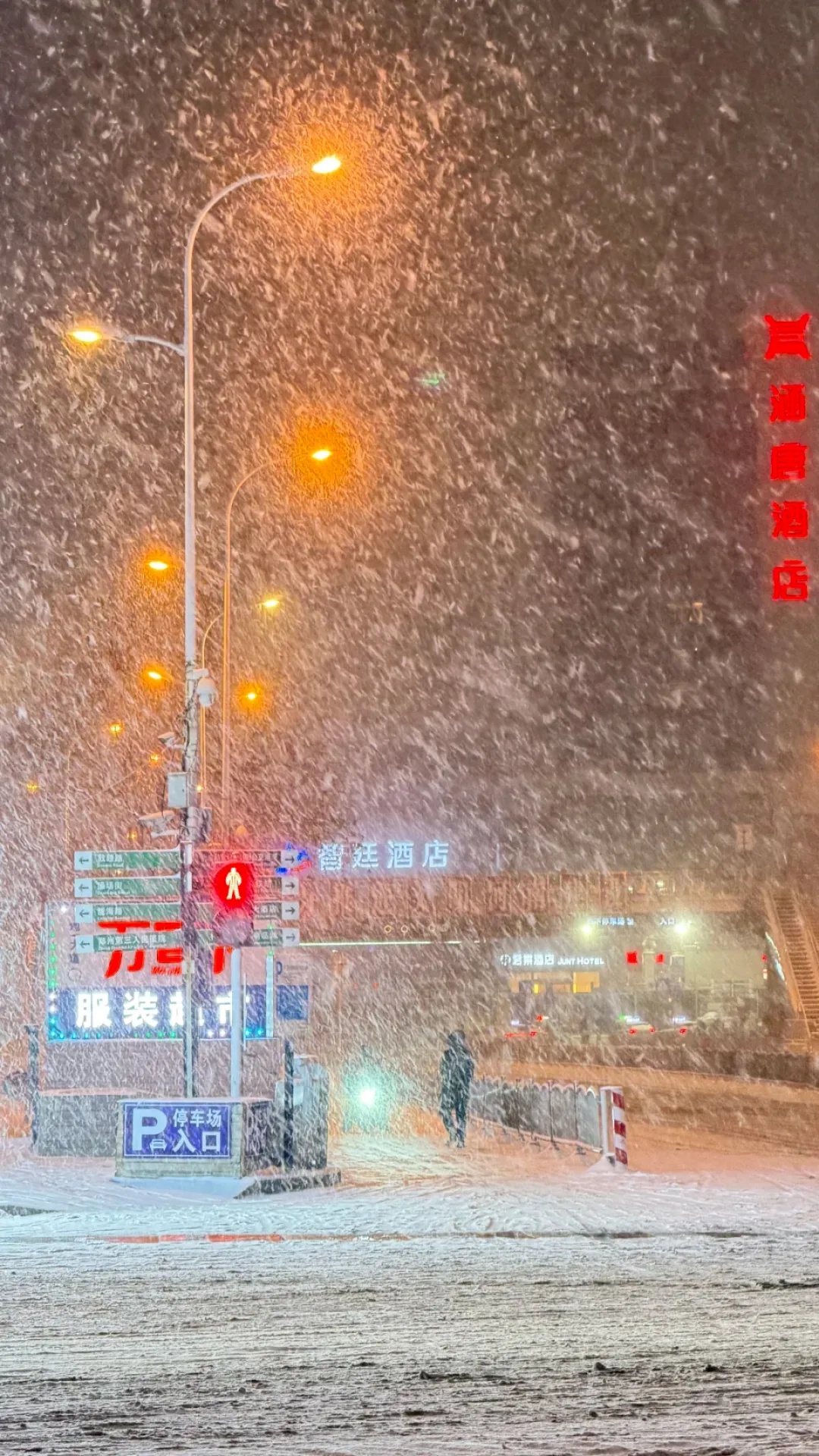 大反转！暴雪！河南全省将再迎雨雪：多地中到大雪，高温跌到0℃