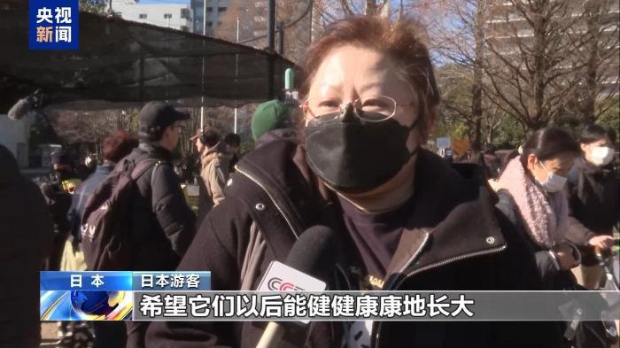 大熊猫“晓晓”和“蕾蕾”即将回国 日本民众依依惜别