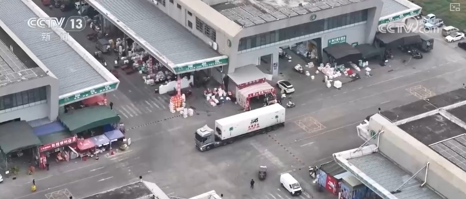 海南自贸港封关将迎首个春节 “智慧监测+快速运输”保障百姓“菜篮子”供应