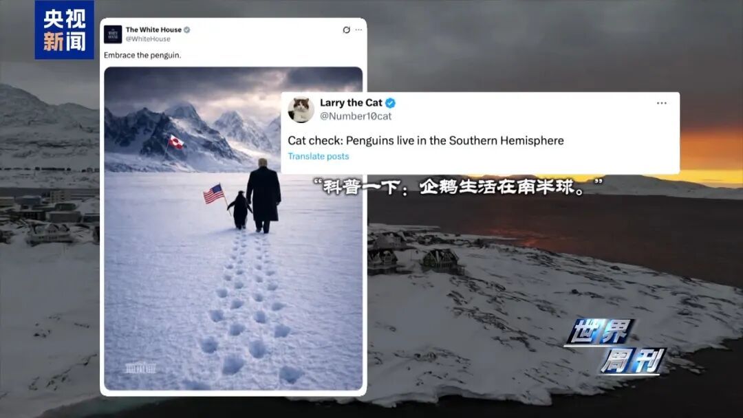 白宫发布图片遭群嘲:格陵兰岛没有企鹅 白宫发布图片遭群嘲:格陵兰岛没有企鹅