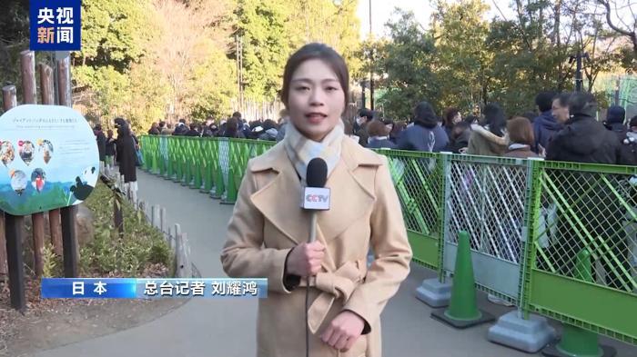 大熊猫“晓晓”和“蕾蕾”即将回国 日本民众依依惜别