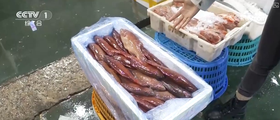 水果“新面孔”畅行县域市场 冬日餐桌焕新传统菜市场活力升级