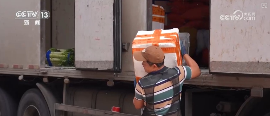 海南自贸港封关将迎首个春节 “智慧监测+快速运输”保障百姓“菜篮子”供应