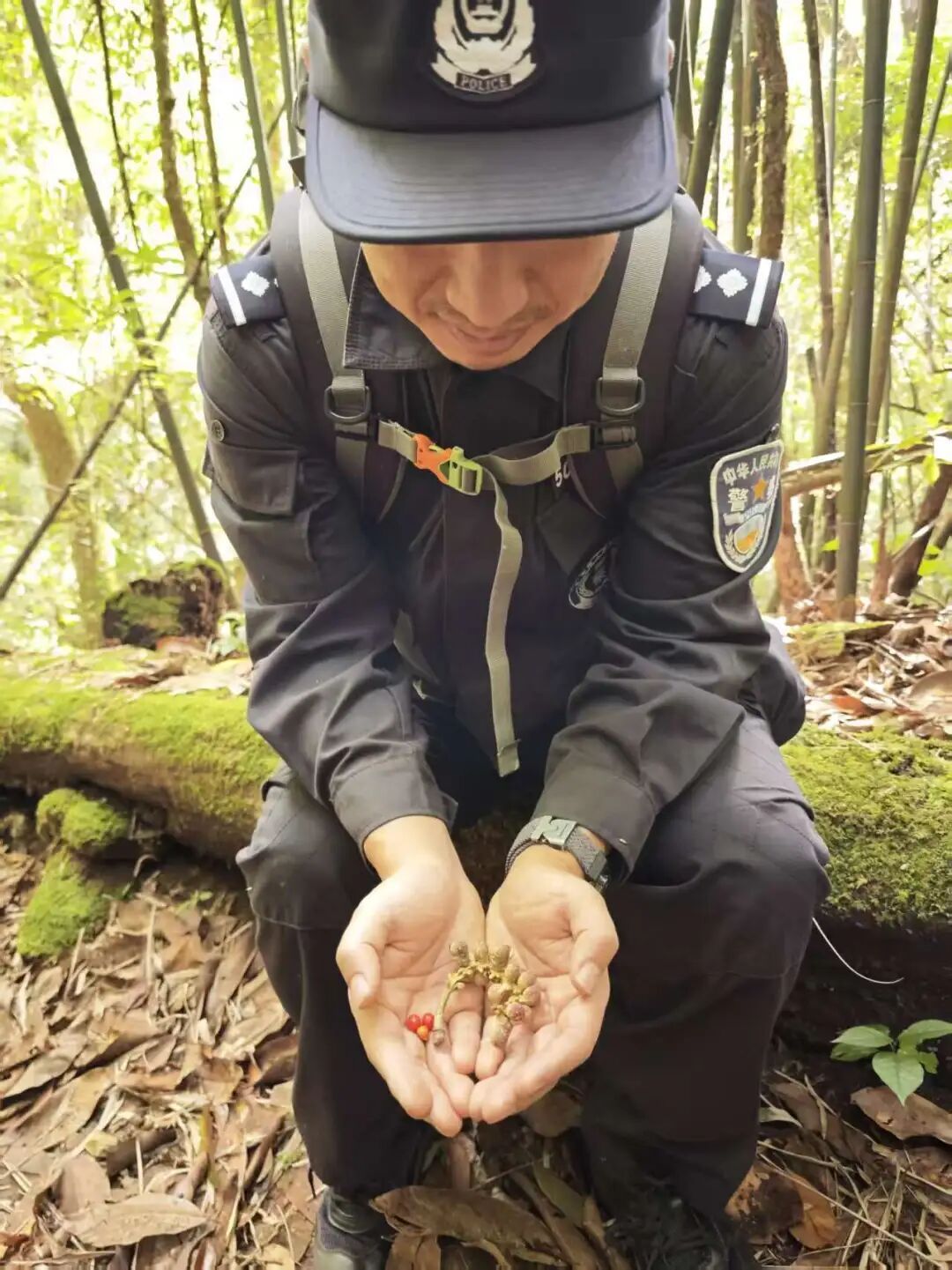 记者亲历：穿越高黎贡