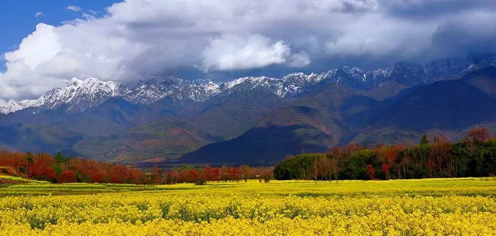 记者亲历：穿越高黎贡