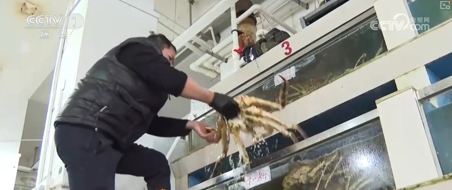 水果“新面孔”畅行县域市场 冬日餐桌焕新传统菜市场活力升级