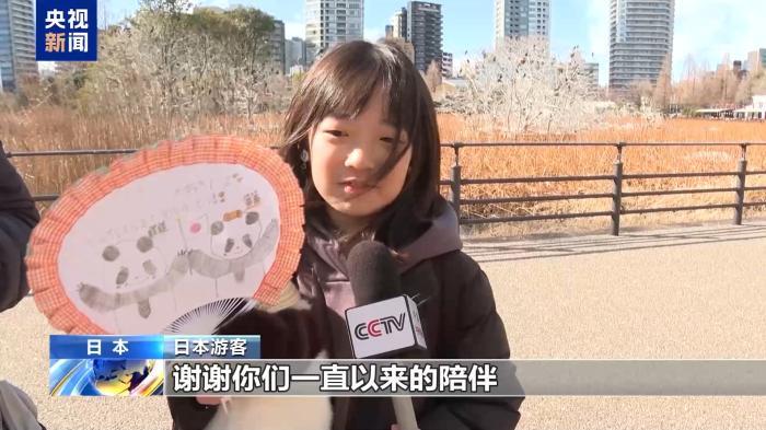 大熊猫“晓晓”和“蕾蕾”即将回国 日本民众依依惜别