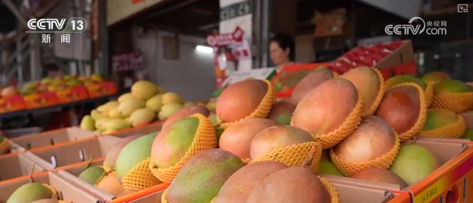 海南自贸港封关将迎首个春节 “智慧监测+快速运输”保障百姓“菜篮子”供应