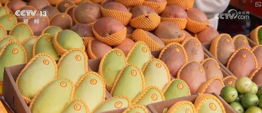 海南自贸港封关将迎首个春节 “智慧监测+快速运输”保障百姓“菜篮子”供应