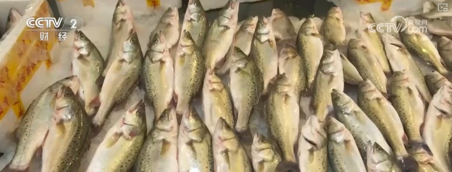 “鲜”货直达“拍”向餐桌 节前水产市场供需两旺“高端年货”交易量增长