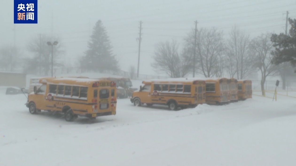 加拿大多地遭遇暴风雪 航班大规模取消