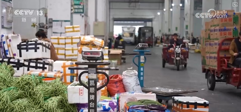 海南自贸港封关将迎首个春节 “智慧监测+快速运输”保障百姓“菜篮子”供应
