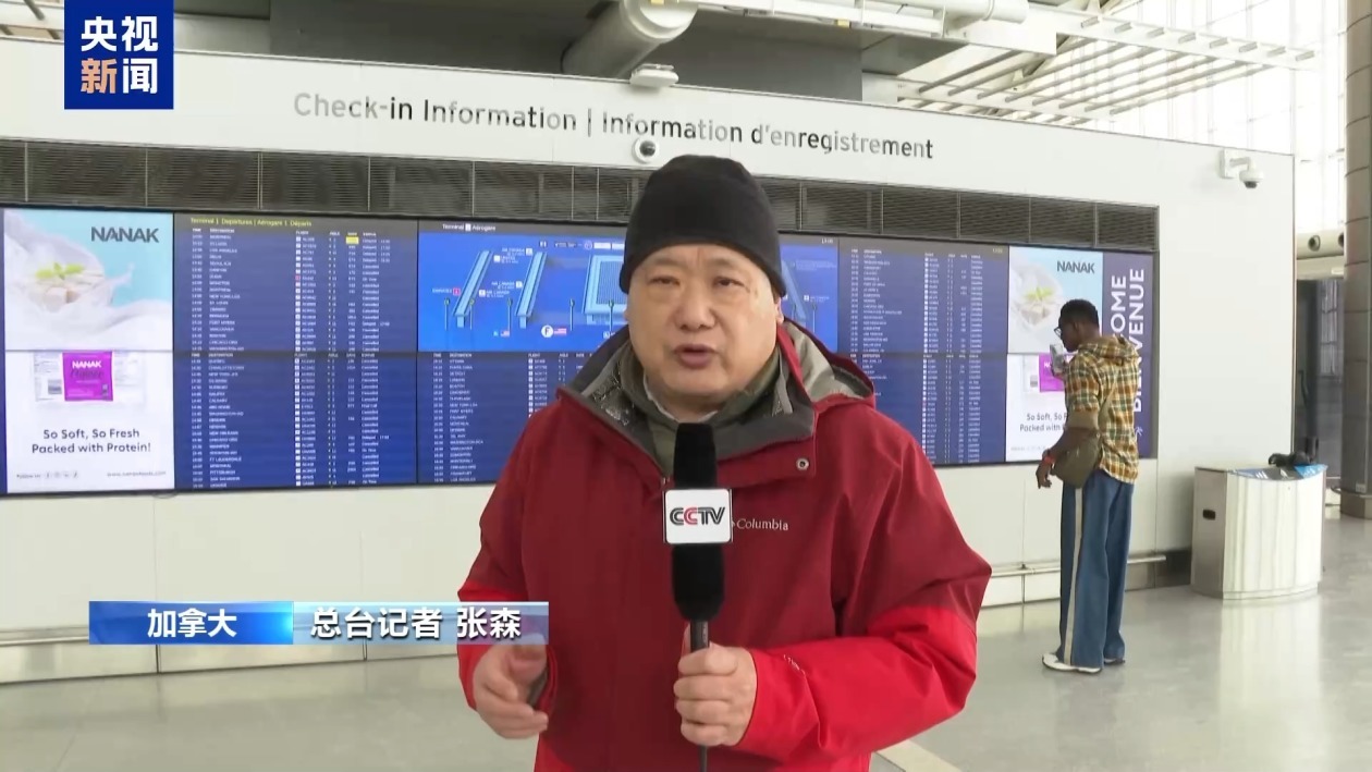 加拿大多地遭遇暴风雪 航班大规模取消