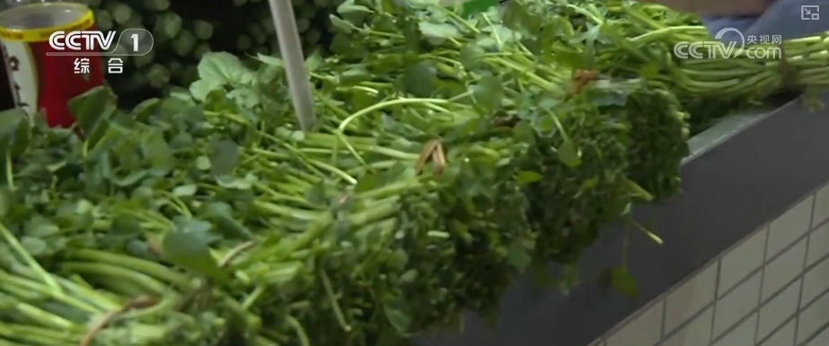 水果“新面孔”畅行县域市场 冬日餐桌焕新传统菜市场活力升级