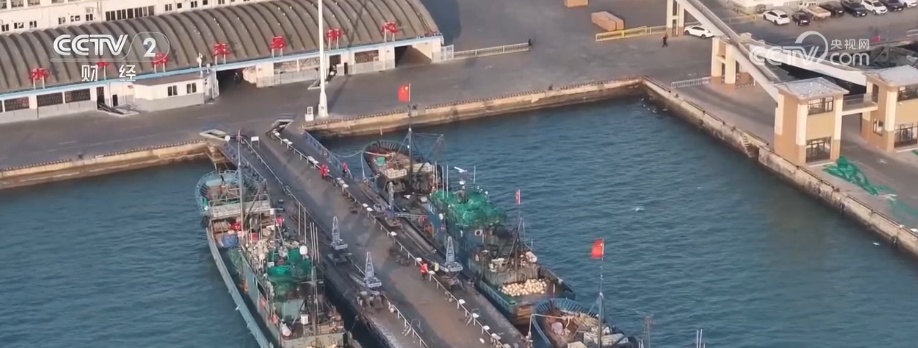 “鲜”货直达“拍”向餐桌 节前水产市场供需两旺“高端年货”交易量增长